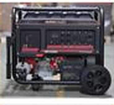 Planta eléctrica Europower EM13000 13 kVA gas y gasolina