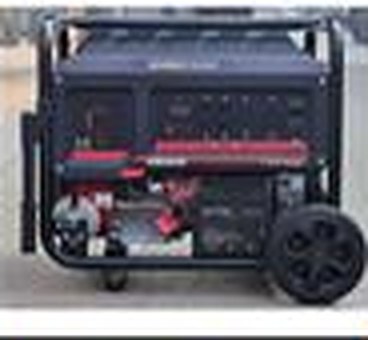 Planta eléctrica Europower EM8000 8 kVA gas y gasolina